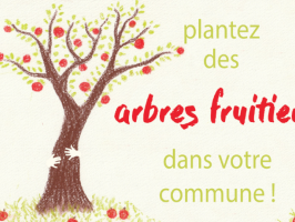 Plantez un arbre fruitier dans votre commune !
